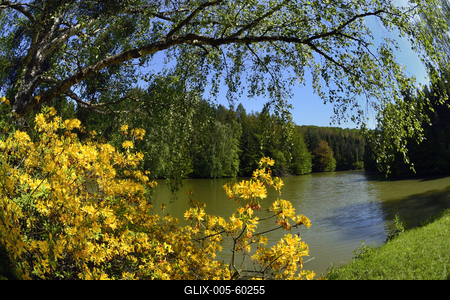 Budafapusztai Arborétum-stock-foto
