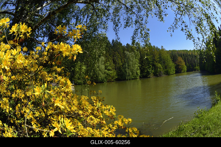 Budafapusztai Arborétum-stock-foto