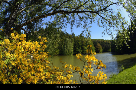 Budafapusztai Arborétum-stock-foto