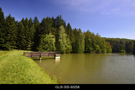Budafapusztai Arborétum-stock-foto