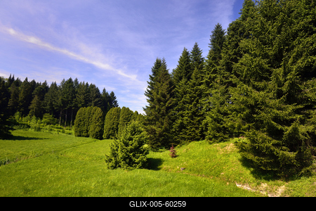 Budafapusztai Arborétum-stock-foto