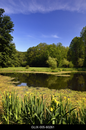 Budafapusztai Arborétum-stock-foto