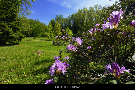 Budafapusztai Arborétum-stock-foto