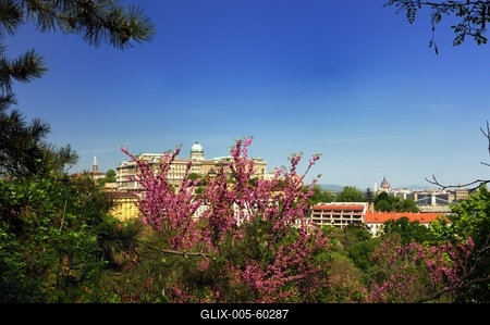 Budapest, a Budavári Palota látványa-stock-foto
