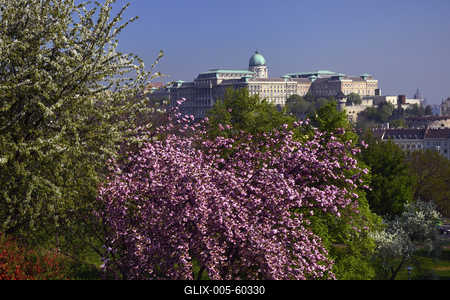 Budapest, a Budavári Palota látványa-stock-foto