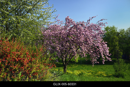 Tavasz a Gellért-hegyen-stock-foto