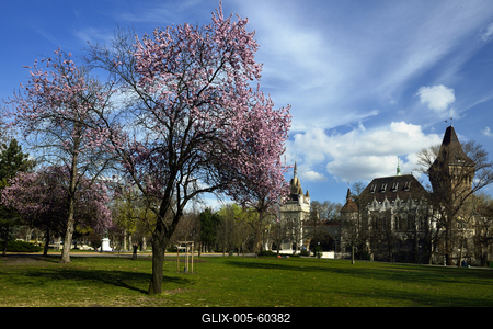 Budapest, Vajdahunyad vára-stock-foto