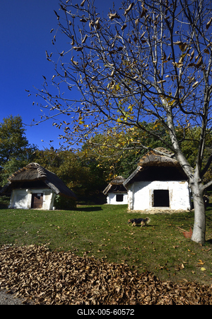 Cáki pincesor-stock-foto