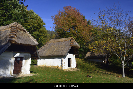 Cáki pincesor-stock-foto