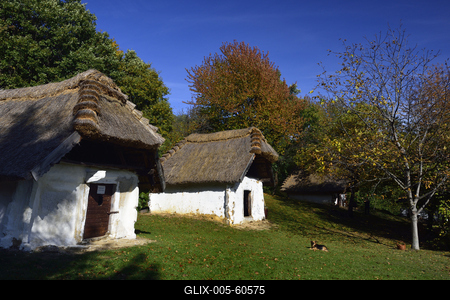 Cáki pincesor-stock-foto