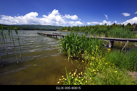 Diósjenő-stock-foto