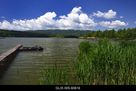 Diósjenő-stock-foto