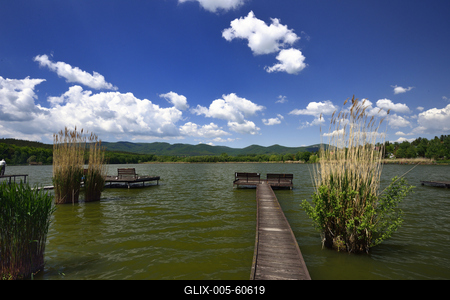 Diósjenő-stock-foto