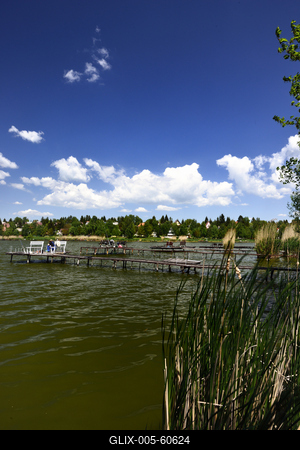 Diósjenő-stock-foto