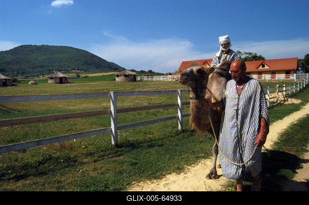 Balatonederics, szafari park-stock-foto