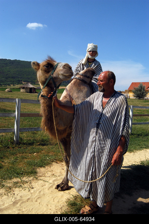Balatonederics, szafari park-stock-foto