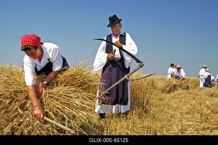 Aratónap, Jászapáti-stock-foto