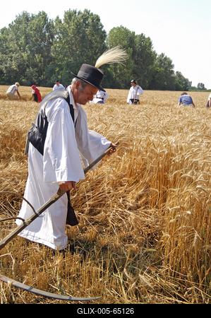 Aratónap, Jászapáti-stock-foto