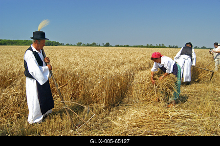 Aratónap, Jászapáti-stock-foto