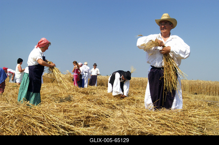 Aratónap, Jászapáti-stock-foto