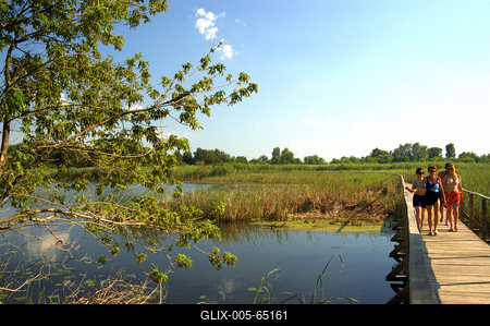 Tisza-tó-stock-foto