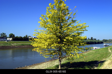 Tisza-parti sétány, Szolnok-stock-foto