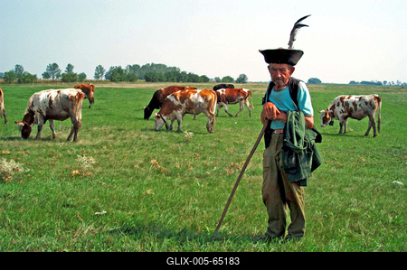 Tiszafüred-stock-foto