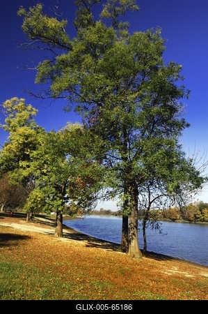 Tiszafüred, Tisza part-stock-foto