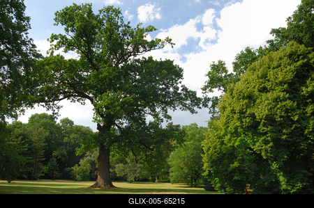 Tiszakürti Arborétum-stock-foto