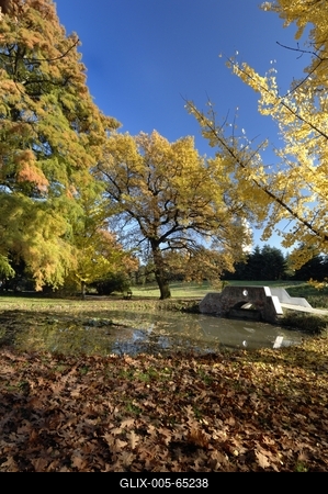 Tiszakürti Arborétum-stock-foto