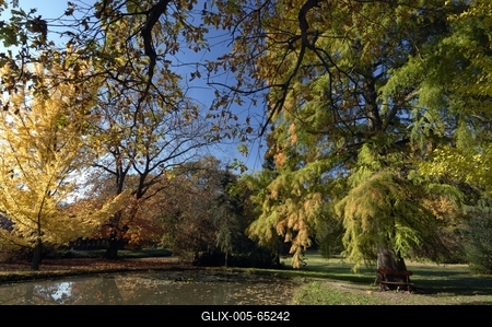 Tiszakürti Arborétum-stock-foto