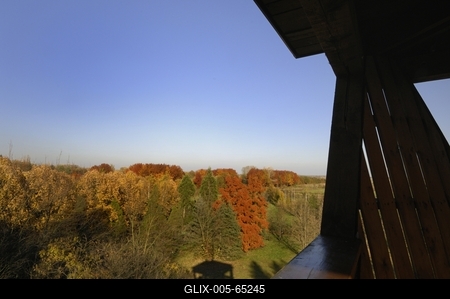 Tiszakürti Arborétum-stock-foto