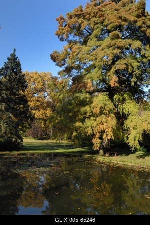 Tiszakürti Arborétum-stock-foto