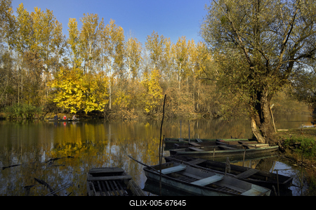 Gemenci-erdő-stock-foto