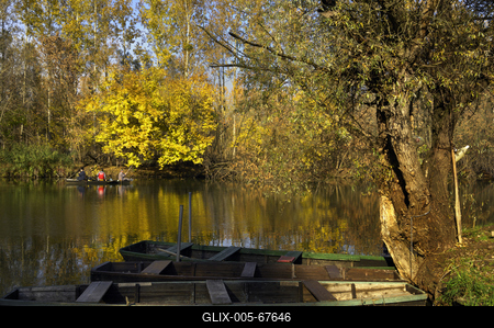 Gemenci-erdő-stock-foto