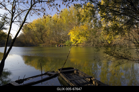 Gemenci-erdő-stock-foto