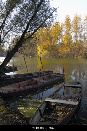 Gemenci-erdő-stock-foto