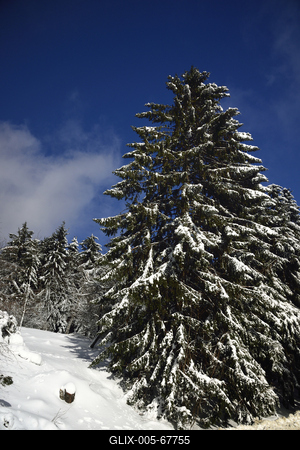 Galyatető-stock-foto