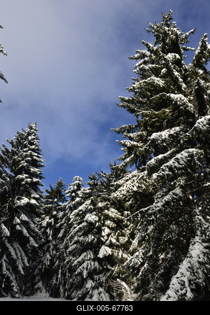 Galyatető-stock-foto