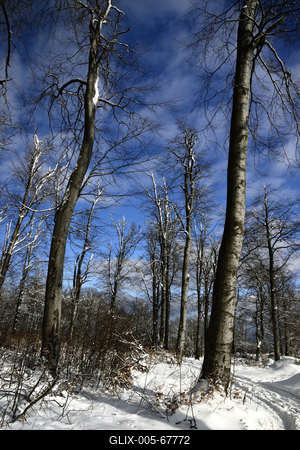 Galyatető-stock-foto