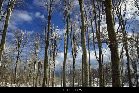 Galyatető-stock-foto