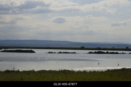 Fertő-tó-stock-foto