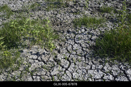 Fertő-tó-stock-foto