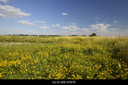 Fertő-tó-stock-foto