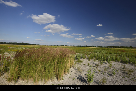 Fertő-tó-stock-foto