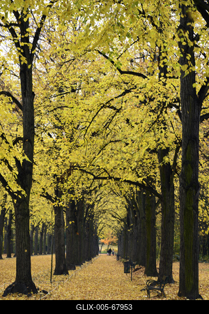 Gödöllő-stock-foto