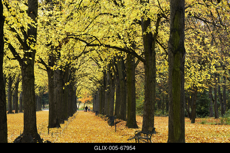 Gödöllő-stock-foto
