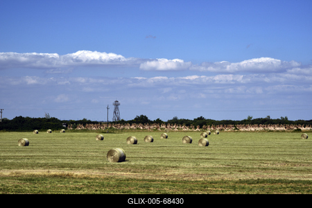 Fertő-tó-stock-foto
