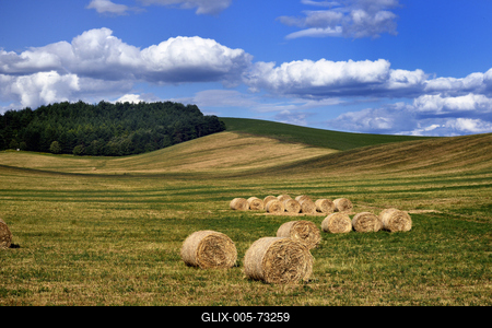 Hevesi táj-stock-foto