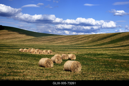 Hevesi táj-stock-foto